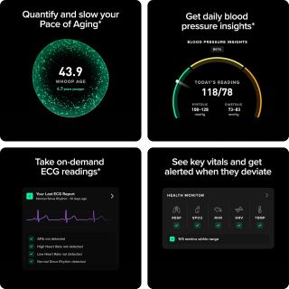 WHOOP 5.0/MG Activity Tracker - 12 Month Membership - Health and Fitness Wearable – 24/7 Activity and Sleep Tracker, Personalized Coaching, Menstrual Cycle Insights – 14+ Days Battery Life